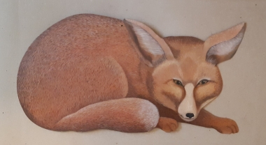 lisek.jpg
